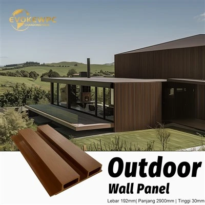 Panou de perete exterior ASA impermeabil 192*30 mm